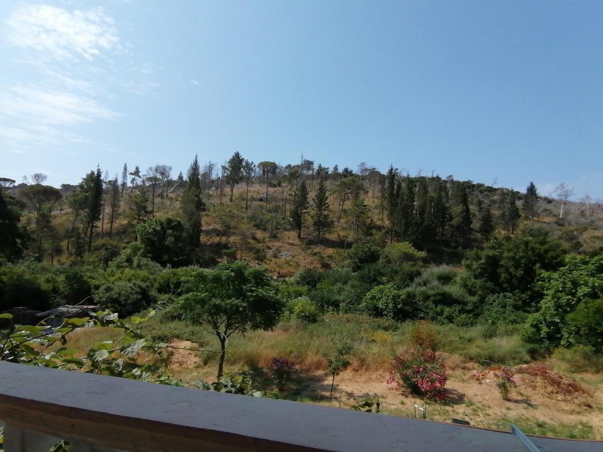 Dom Za Odmor J&S Apartment Sutomore Bagian luar foto