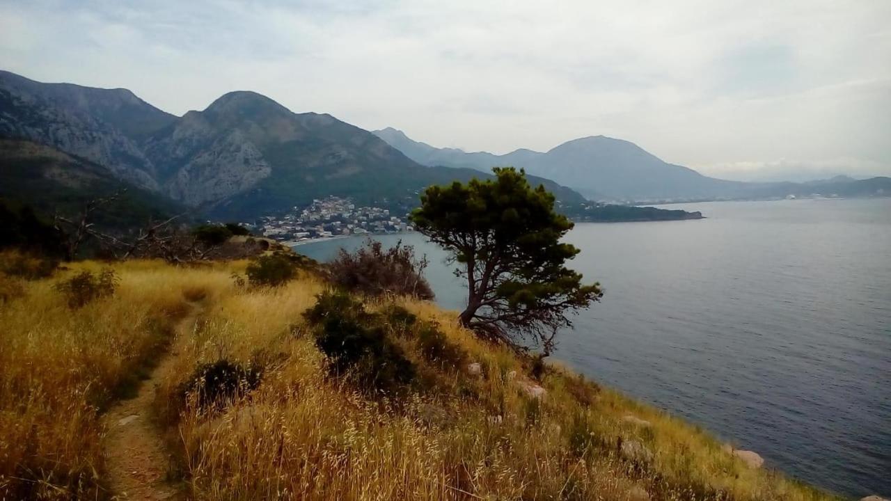 Dom Za Odmor J&S Apartment Sutomore Bagian luar foto