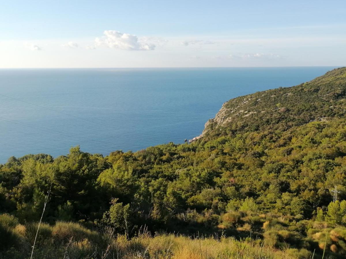 Dom Za Odmor J&S Apartment Sutomore Bagian luar foto